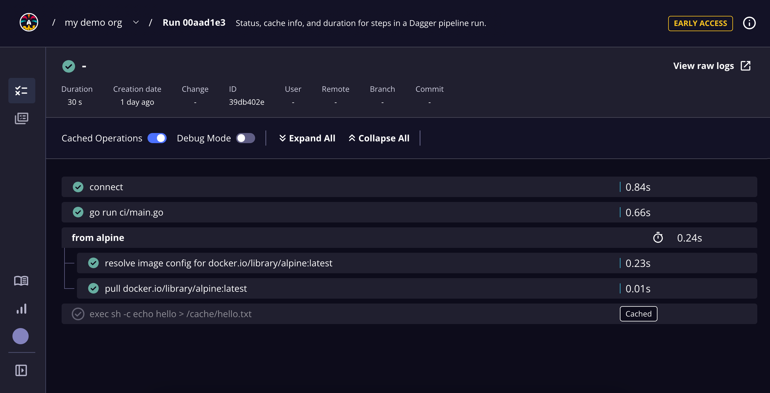Local run, no metadata